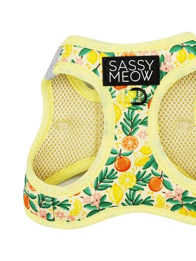 Sassy Woof Cat Step-In Harness - Zest Friends product