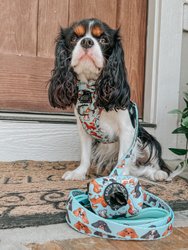 Dog Adjustable Harness - Classy Cavs