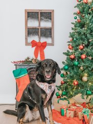 Dog Adjustable Harness - Cookies Fur Santa