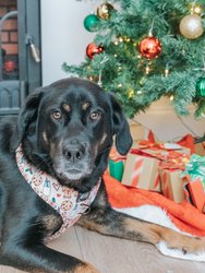 Dog Adjustable Harness - Cookies Fur Santa