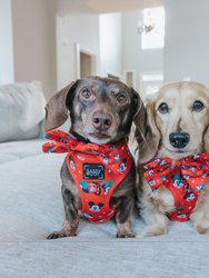 Dog Adjustable Harness - Disney Holiday Collection