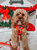 Dog Adjustable Harness - Disney Holiday Collection