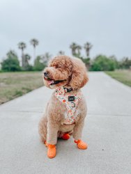 Dog Adjustable Harness - Peach Please
