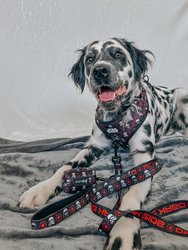Dog Adjustable Harness - STAR WARS™ The Dark Side