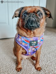 Dog Adjustable Harness - Willy Wonka & The Chocolate Factory™