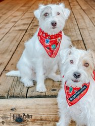 Dog Bandana - Harry Potter™