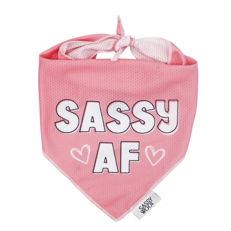 Dog Bandana - Sassy AF - Sassy AF