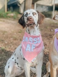 Dog Bandana - Sassy AF