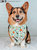 Dog Bandana - The Powerpuff Girls™ - Green