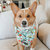 Dog Bandana - The Powerpuff Girls™ - Green