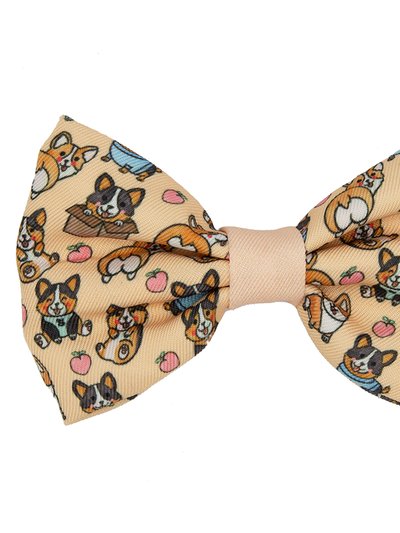 Sassy Woof Dog Bowtie - Corgilicious product