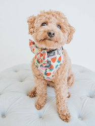 Dog Bowtie - Strawberry Fields Furever