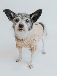 Dog Cable Knit Sweater - Beige