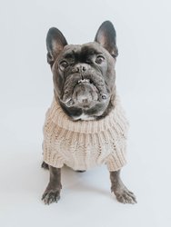 Dog Cable Knit Sweater - Beige