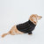 Dog Cable Knit Sweater - Black