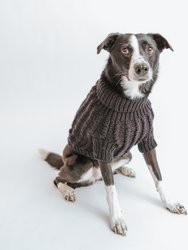 Dog Cable Knit Sweater - Black