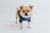 Dog Cable Knit Sweater - Blue