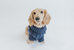 Dog Cable Knit Sweater - Blue