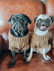 Dog Cable Knit Sweater - Brown