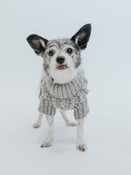 Dog Cable Knit Sweater - Gray