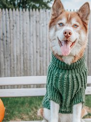 Dog Cable Knit Sweater - Green