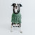 Dog Cable Knit Sweater - Green