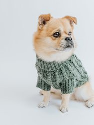 Dog Cable Knit Sweater - Green