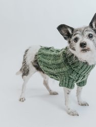 Dog Cable Knit Sweater - Green