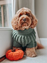 Dog Cable Knit Sweater - Green