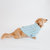 Dog Cable Knit Sweater - Light Blue
