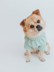 Dog Cable Knit Sweater - Mint