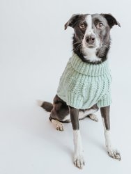 Dog Cable Knit Sweater - Mint