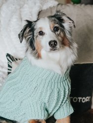 Dog Cable Knit Sweater - Mint