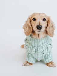Dog Cable Knit Sweater - Mint