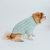 Dog Cable Knit Sweater - Mint