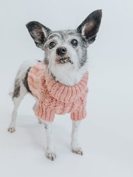 Dog Cable Knit Sweater - Pink