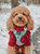 Dog Cable Knit Sweater - Red