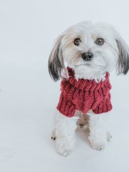Dog Cable Knit Sweater - Red