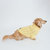 Dog Cable Knit Sweater - Yellow