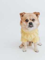 Dog Cable Knit Sweater - Yellow