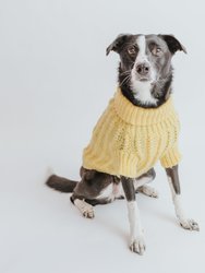 Dog Cable Knit Sweater - Yellow