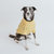 Dog Cable Knit Sweater - Yellow