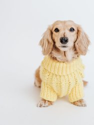 Dog Cable Knit Sweater - Yellow