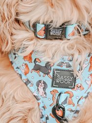 Dog Collar - Classy Cavs