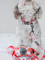 Dog Collar - Floral Frenzy