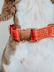 Dog Collar - Foxy
