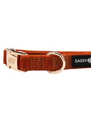 Dog Collar - Foxy