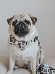 Dog Collar - It's a Pug's Life