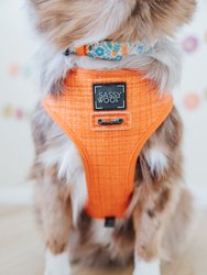 Dog Collar - Must Be The Honey