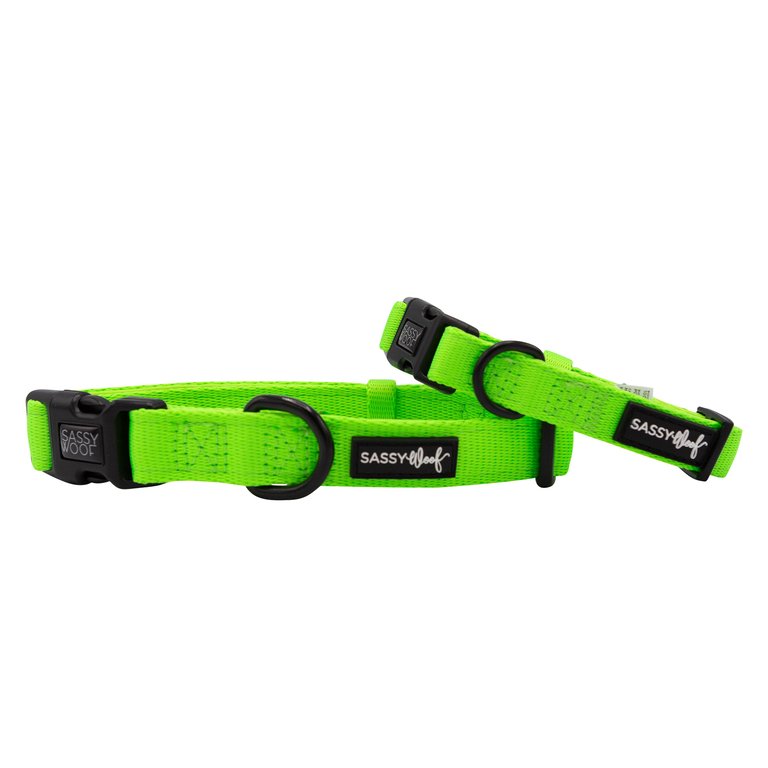 Dog Collar - Neon Green - Neon Green